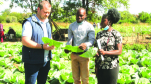 young_farmer_breaks_cycle_of_poverty_in_chiredzi.png