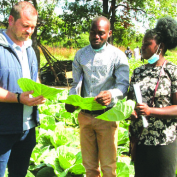 Young farmer breaks cycle of poverty in Chiredzi