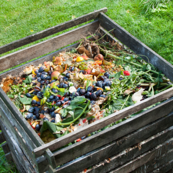 Composting at home for healthier kitchen gardens