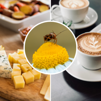 Hay Fever: The 5 food and drinks you need to cut out