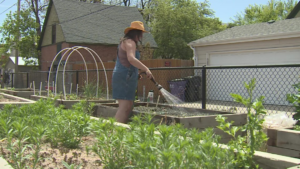 nonprofit_fighting_food_insecurity_by_planting_urban_gardens_in_backyards.png