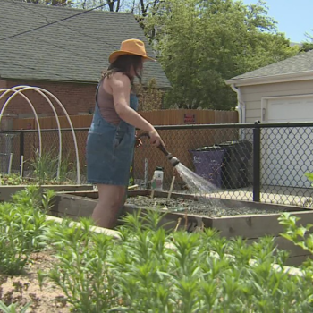 Nonprofit fighting food insecurity by planting urban gardens in backyards