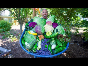 incredible_backyard_garden_harvest_2022_this_is_what_i_harvested_today.png