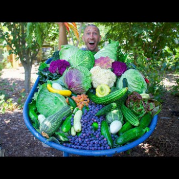 Incredible Backyard Garden Harvest 2022, This Is What I Harvested Today!