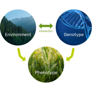 plant_phenotyping_market_to_surpass_us_386.5_million_at_a_cagr_of_11.2_by_2028__basf_se_phenospex.png