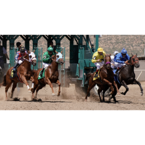 ruidoso_downs_in_new_mexico_sees_first_racehorse_catastrophe_on_effective_date_of_horseracing_integrity_and_safety_act.png